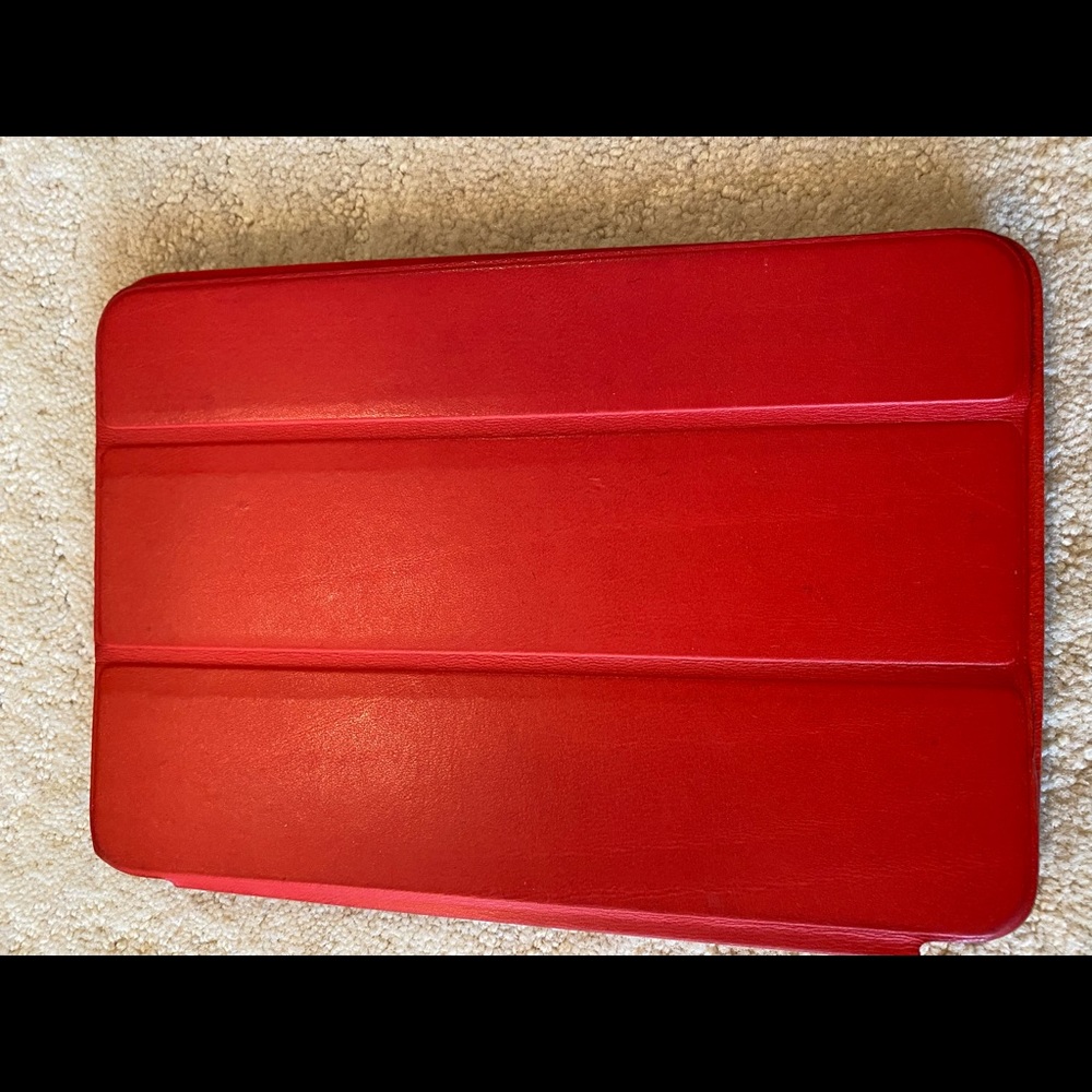 Mini iPad case